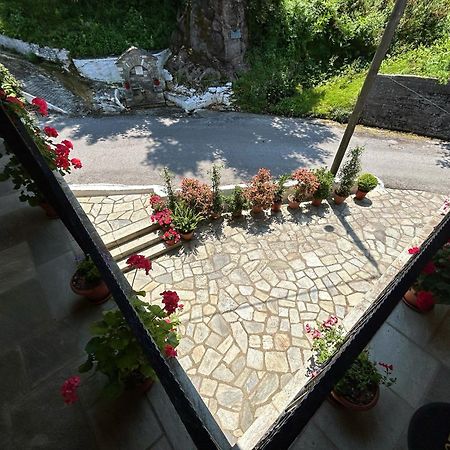Λευκή Καμέλια Ξενοδοχείο Ανήλιο Πηλίου Εξωτερικό φωτογραφία