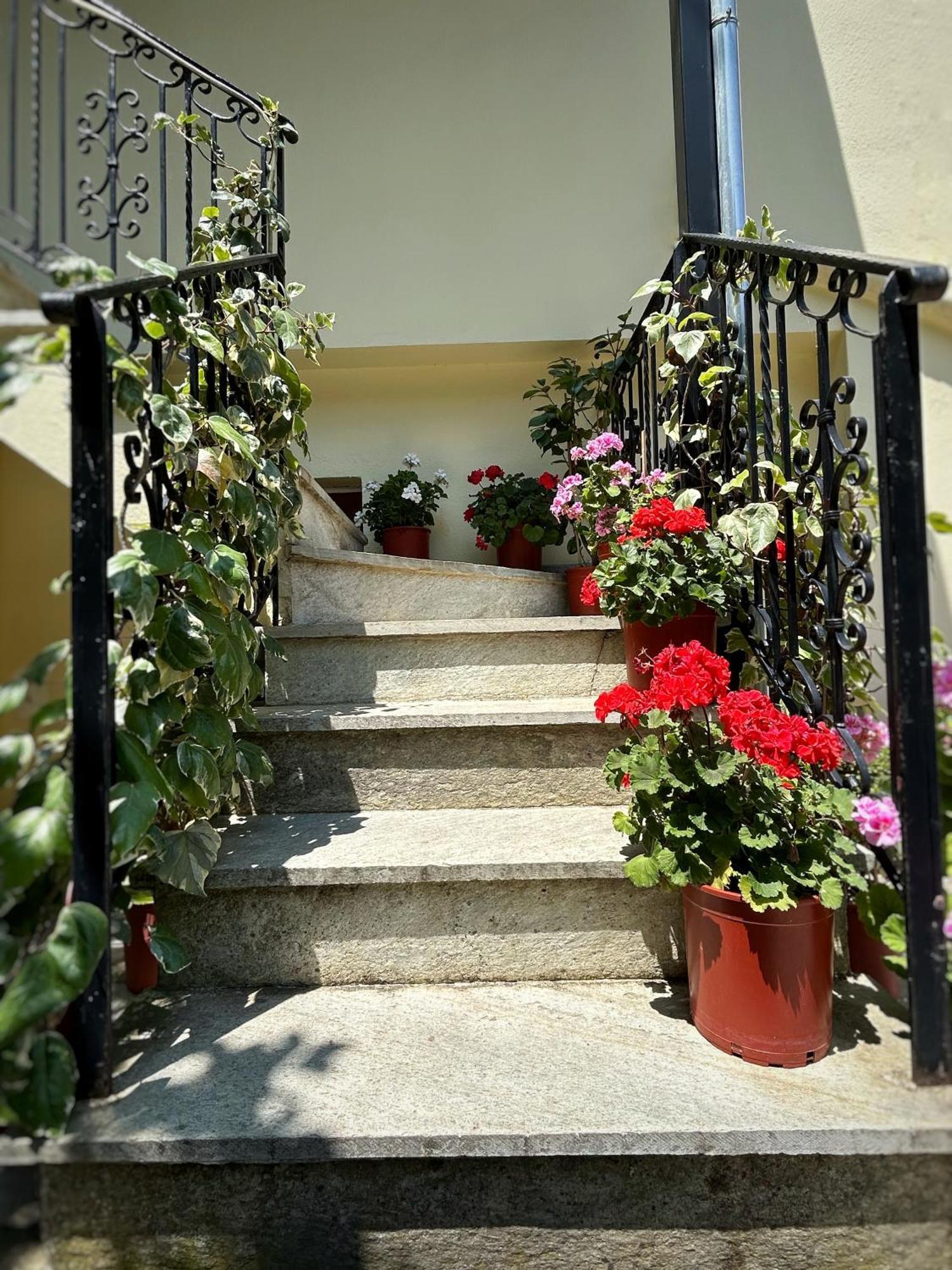 Λευκή Καμέλια Ξενοδοχείο Ανήλιο Πηλίου Εξωτερικό φωτογραφία