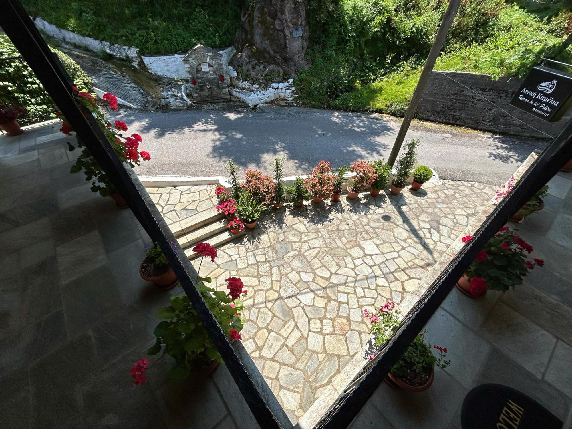Λευκή Καμέλια Ξενοδοχείο Ανήλιο Πηλίου Εξωτερικό φωτογραφία